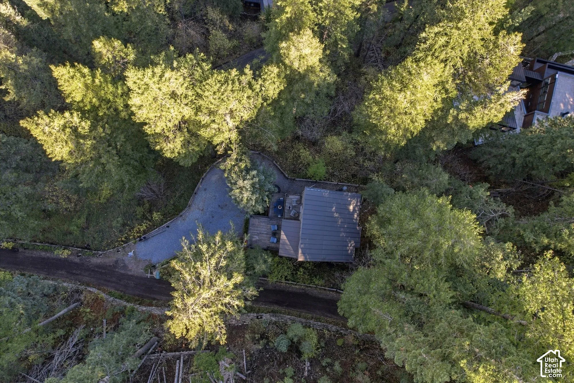 Mountain home nestled in the trees