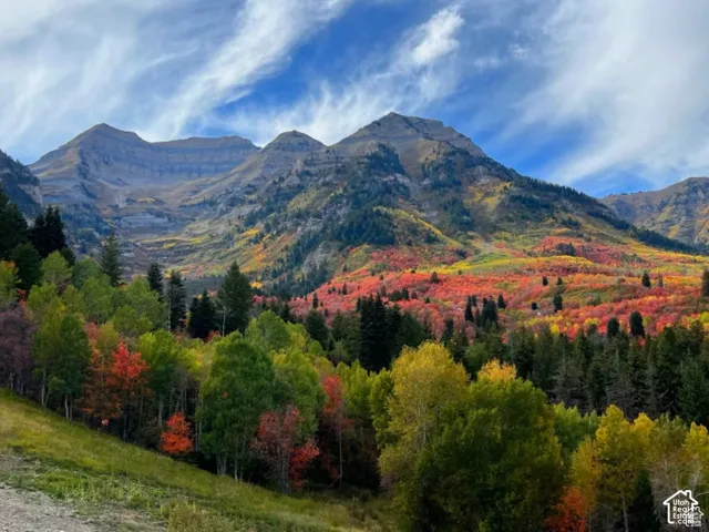 Mountain landscape featuring rugged ridgelines, evergreen forests, and seasonal foliage
