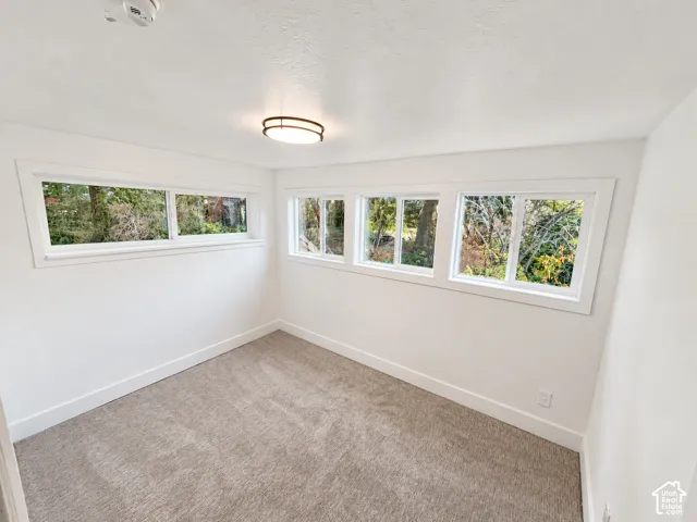 Neutral-toned wall-to-wall carpeting, white walls, multiple horizontal sliding windows with white casing, and a flush-mount circular ceiling fixture