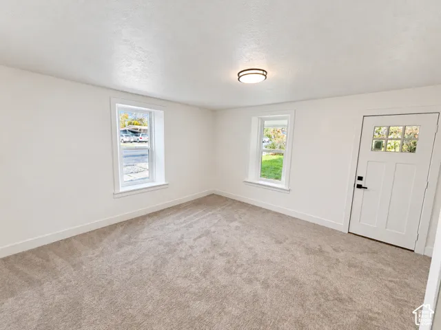 Interior room featuring neutral-toned carpeting, two windows with deep sills, a white exterior door with glass panes, and a flush-mount circular ceiling fixture
