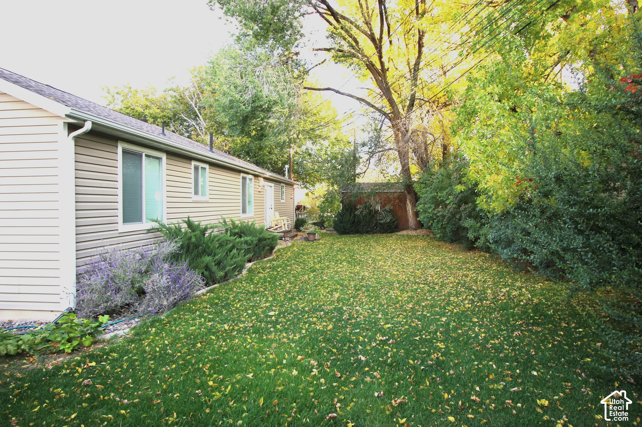 Backyard area featuring horizontal lap siding, a lawn, mature trees, and established shrubbery