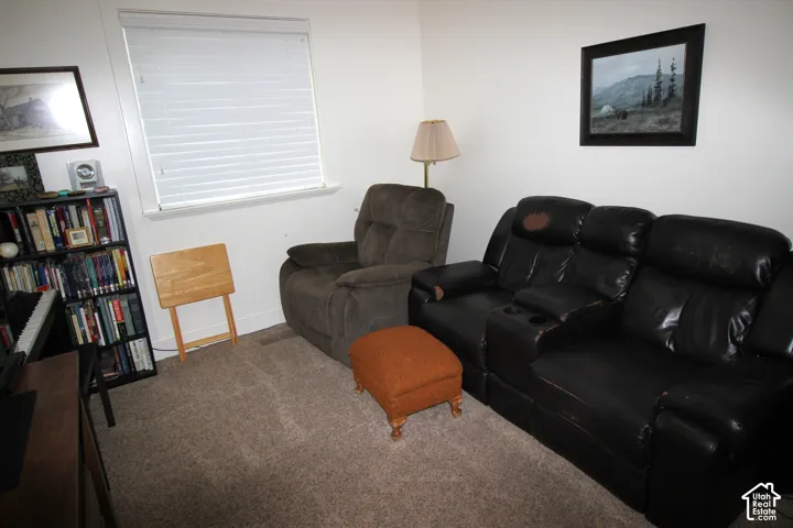3rd Bedroom (now used as a TV room)with Neutral wall color, wall-to-wall carpeting, and horizontal slat window blinds