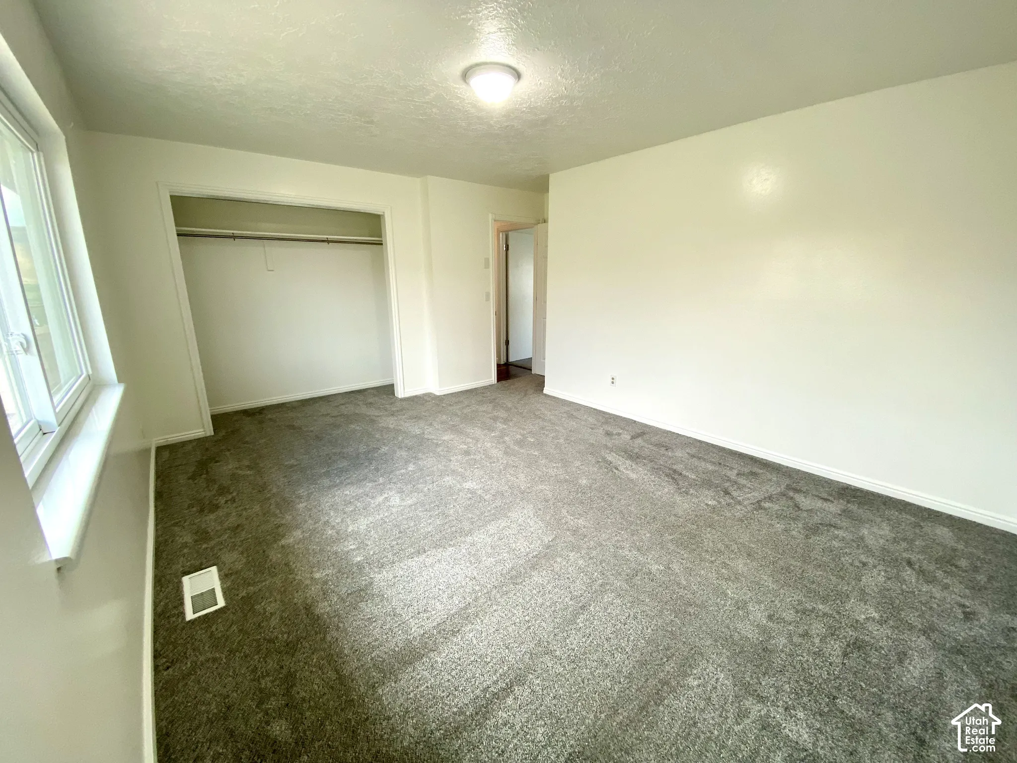 Neutral wall finishes, grey carpeting, ceiling-mounted light fixture, and walk-in closet featuring a metal rod