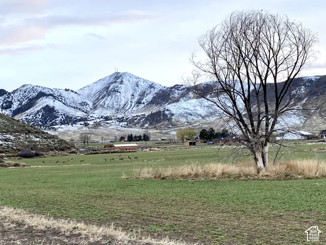 Expansive acreage featuring open fields, mature deciduous trees, and a mountain backdrop