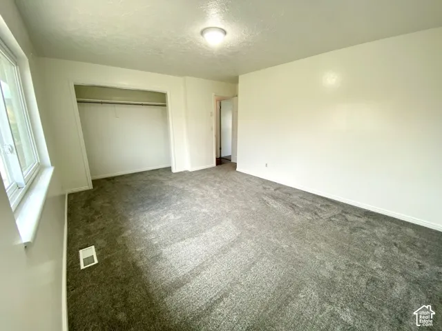 Neutral wall finishes, grey carpeting, ceiling-mounted light fixture, and walk-in closet featuring a metal rod