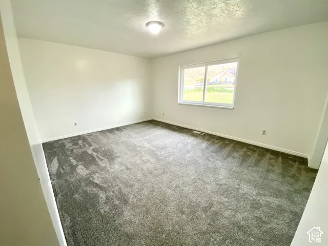 Neutral interior space featuring grey wall-to-wall carpeting, crisp white wall finishes, a sliding window, and a ceiling-mounted light fixture