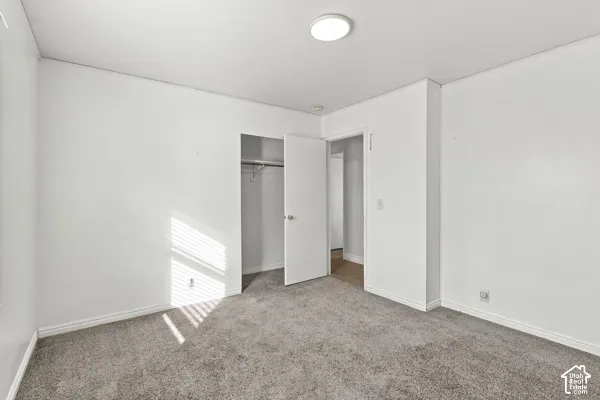 Neutral wall finish, gray carpeting, flush-mount ceiling lighting, and a closet with a built-in metal rod