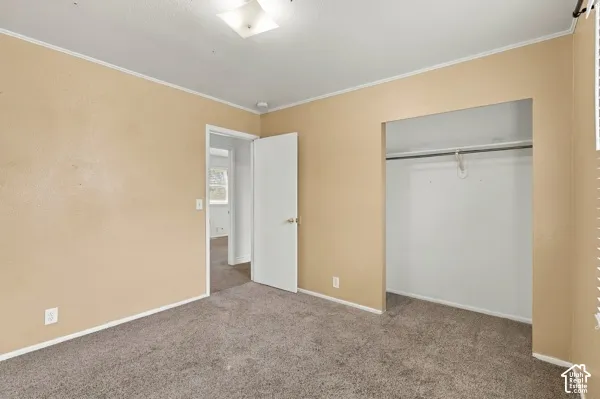 Room featuring wall-to-wall carpeting, neutral-toned walls, and a walk-in closet with an integrated garment rod