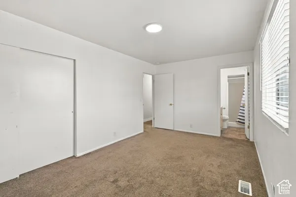 Neutral-toned carpeting, minimalist ceiling-mounted lighting, and horizontal window blinds