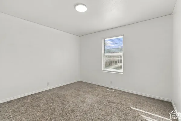 Neutral-toned wall-to-wall carpeting, single-pane window with horizontal blinds, and flush-mount ceiling lighting