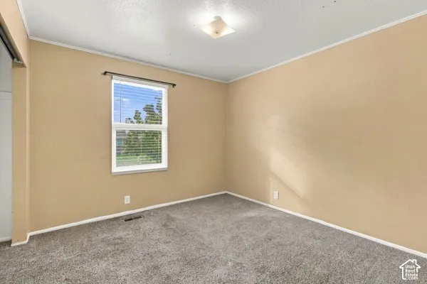 Neutral-toned walls, wall-to-wall carpeting, and a single-hung window with a dark metal rod