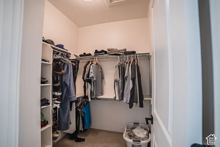Walk-in closet featuring white built-in shelving, integrated hanging rods, and neutral carpeting