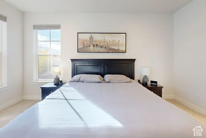Neutral interior room featuring neutral wall paint, carpeting, and a grid-patterned window with natural light