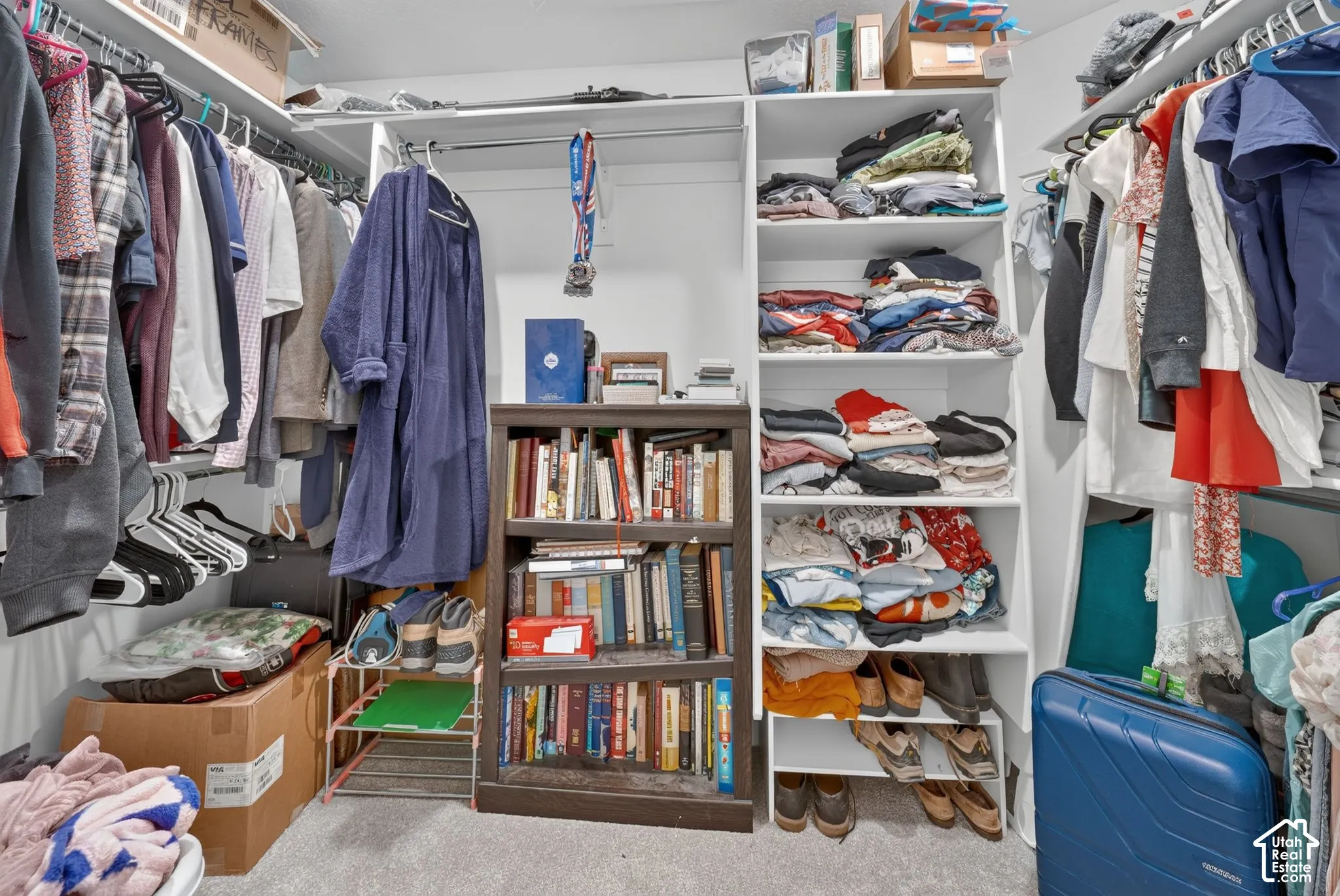 Walk-in closet featuring white built-in shelving, multiple hanging rods, and neutral carpeting