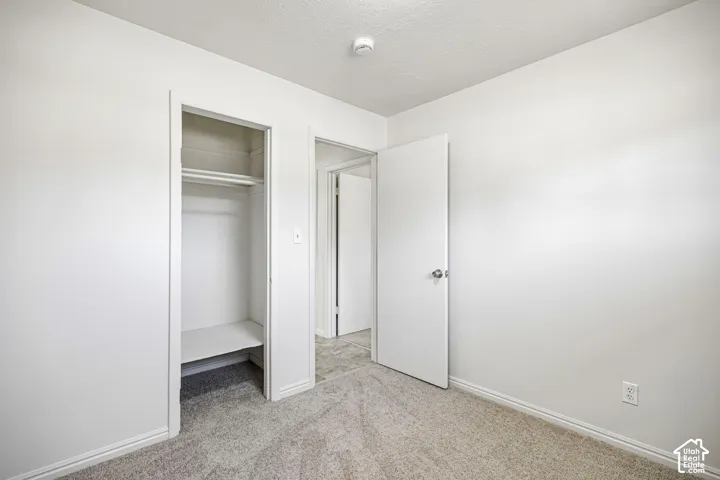 Neutral-toned carpeting, built-in closet shelving, and minimalist interior doors