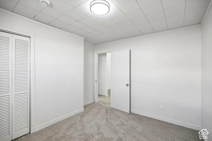 Interior space featuring wall-to-wall carpeting, a drop ceiling with a flush-mount light fixture, and a white bifold closet door