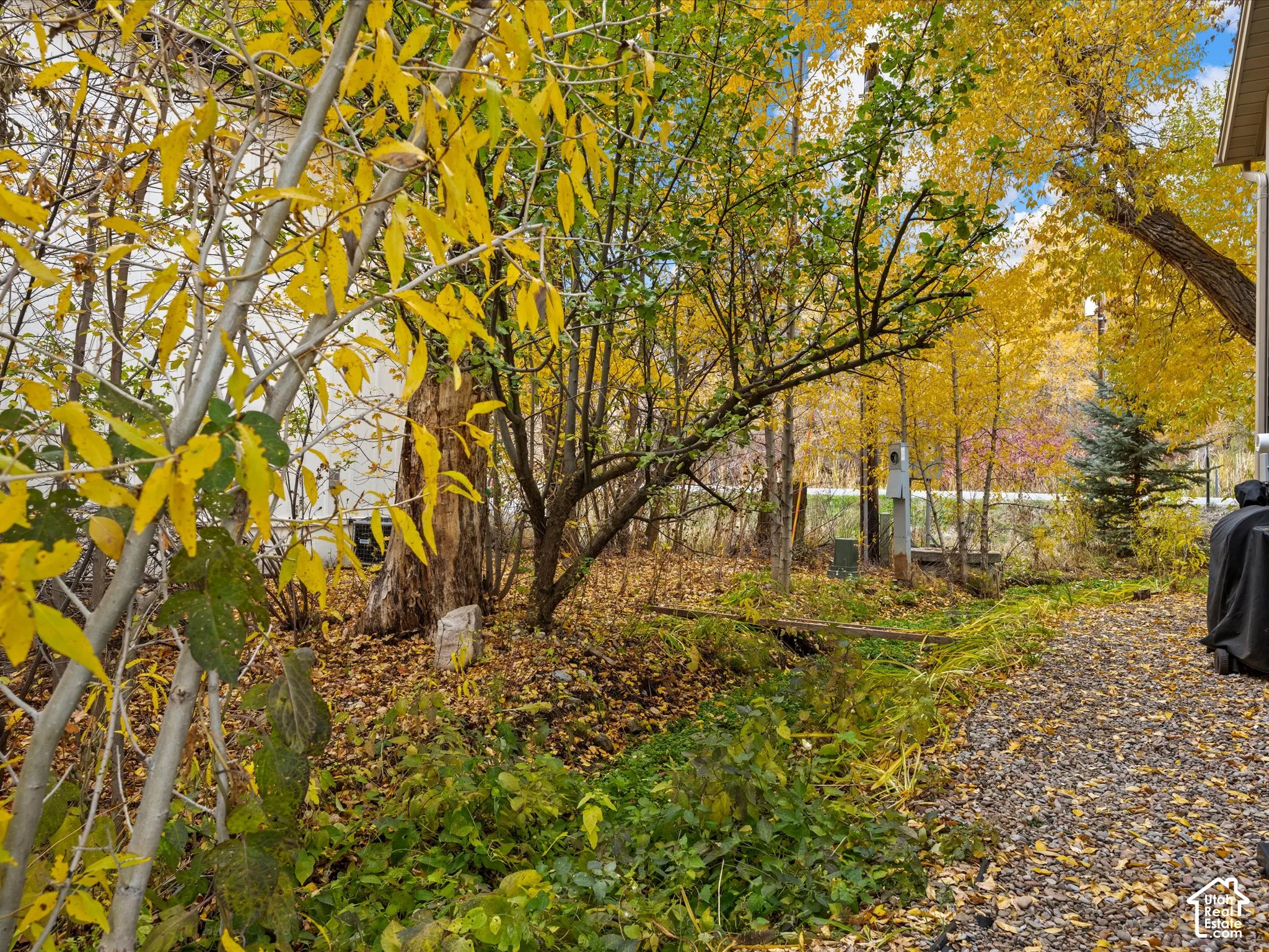 year round creek