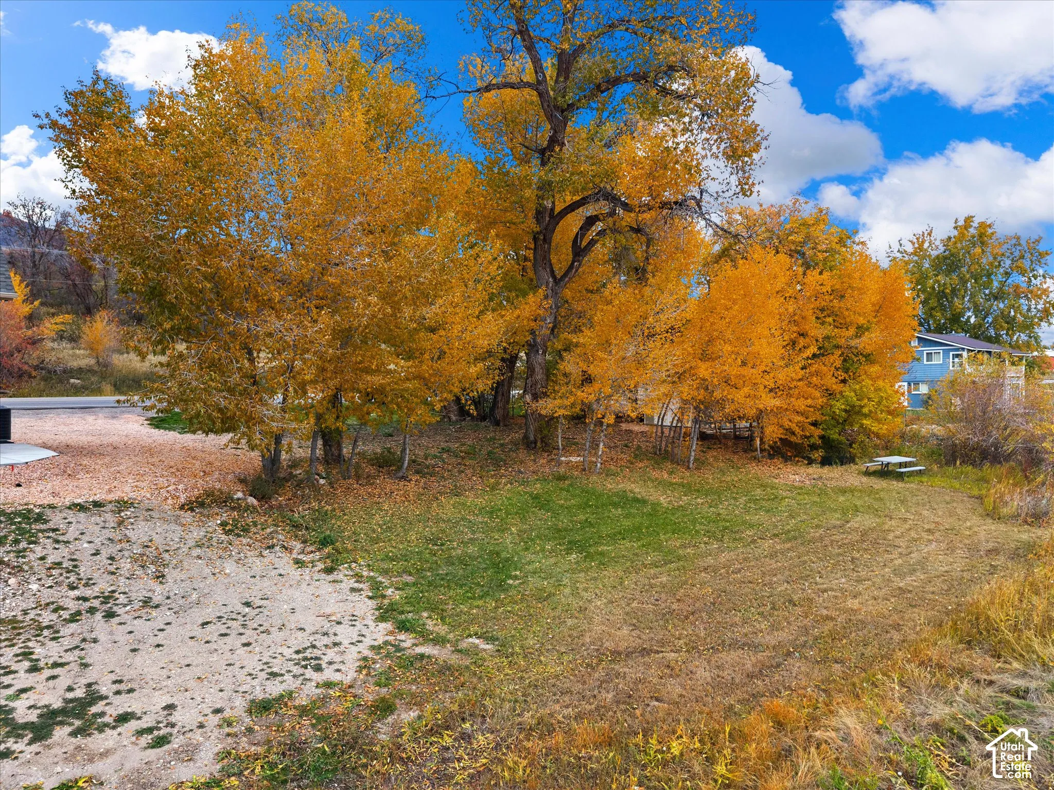 mature trees and additional parking