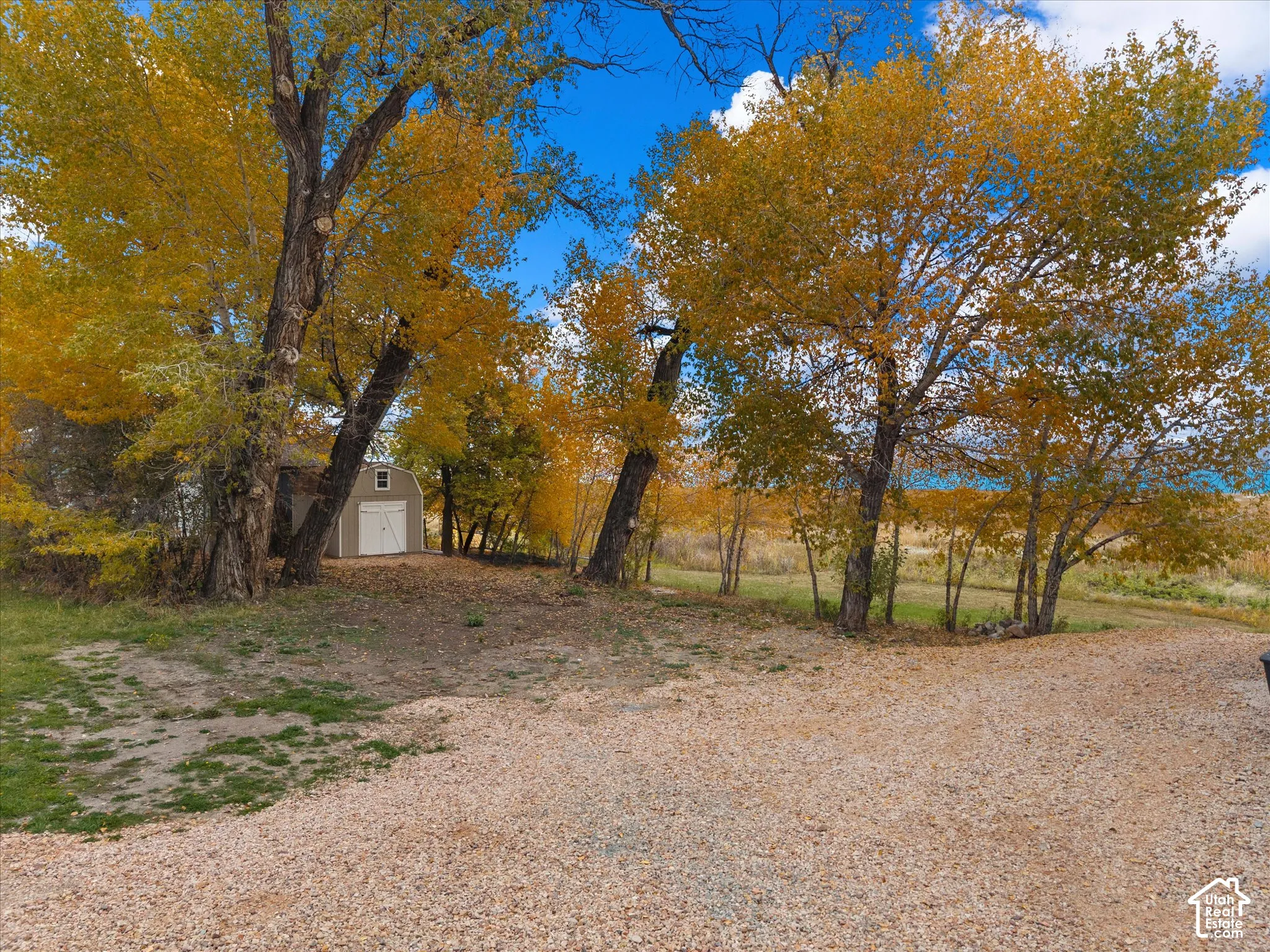 Expansive lot featuring gravel drive, mature trees, and detached storage structure