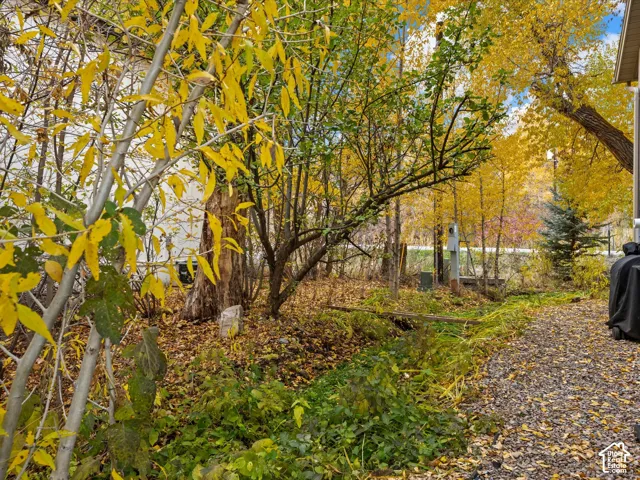 year round creek