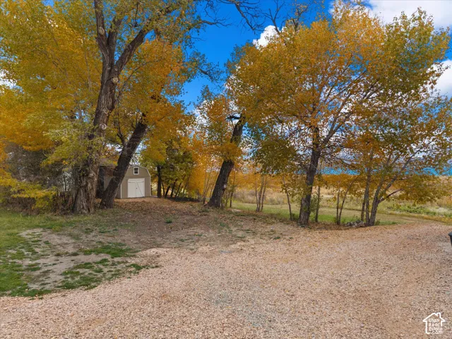 Expansive lot featuring gravel drive, mature trees, and detached storage structure