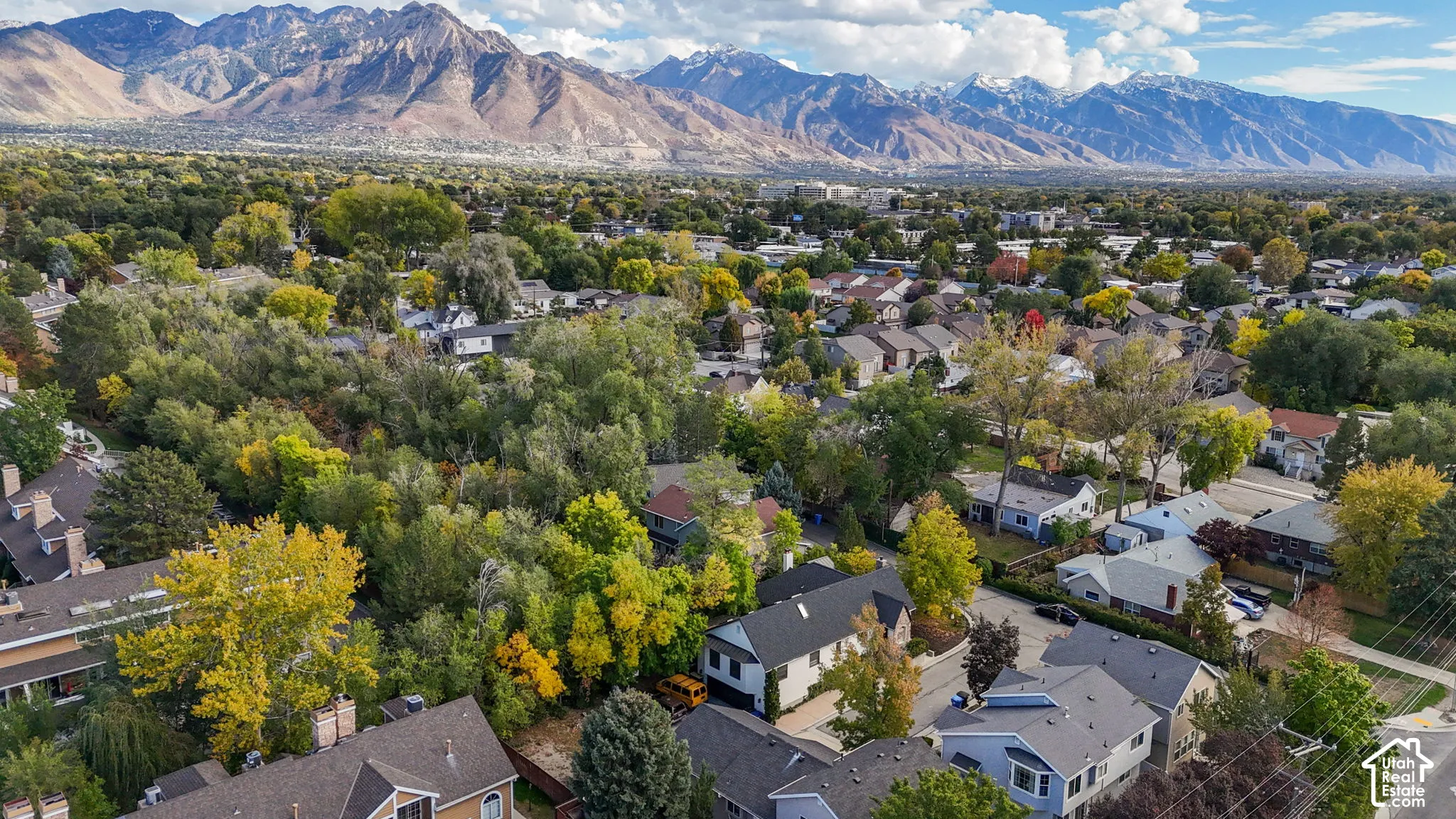 Aerial perspective featuring expansive mountain range scenery, dense mature trees, and established residential neighborhood surroundings