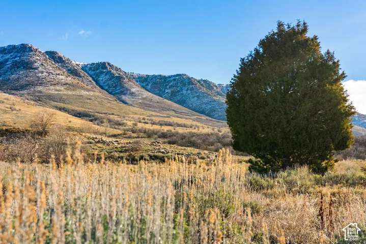 View of mountain background