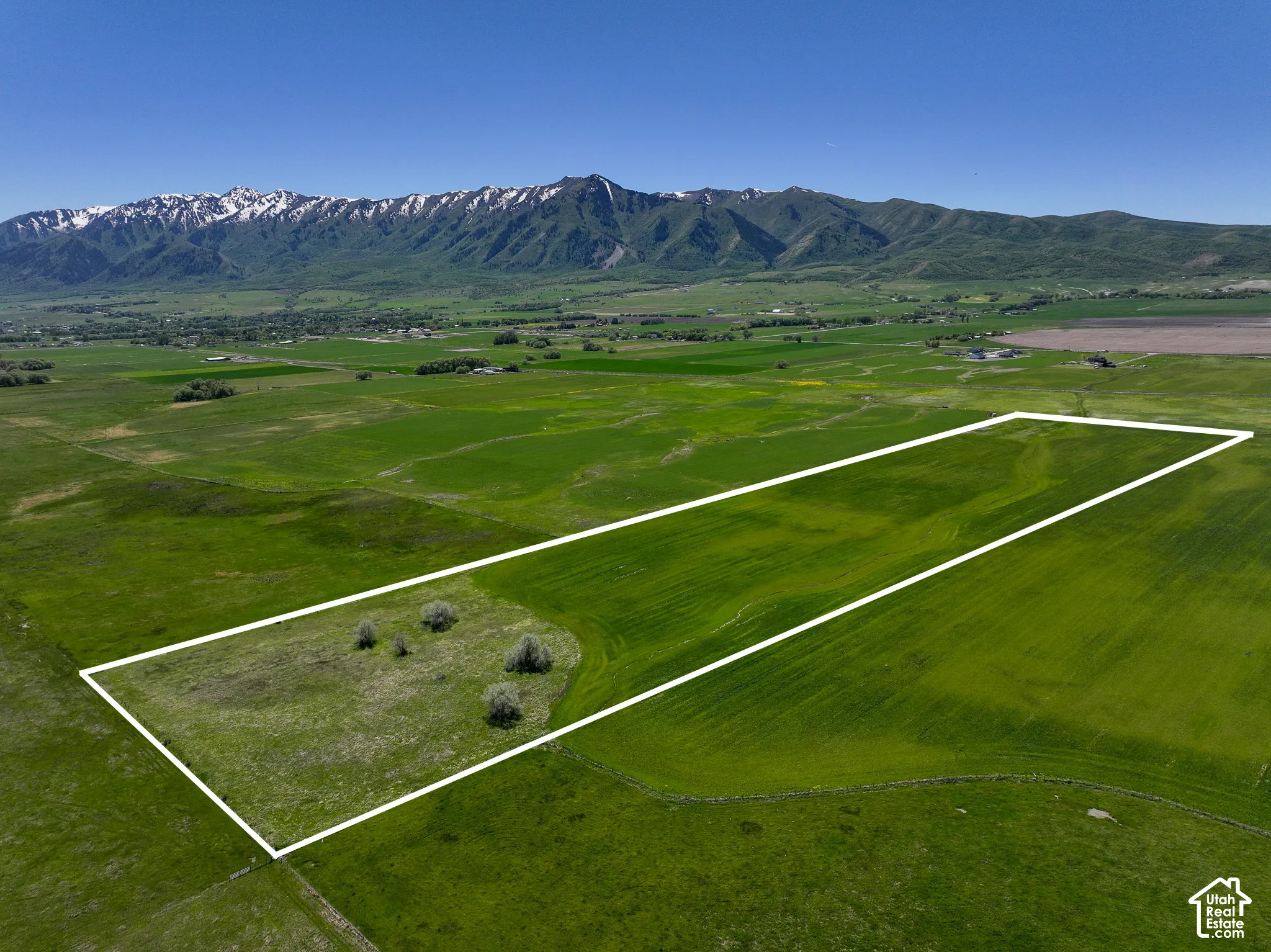 Expansive parcel of open land featuring mountain scenery and mature trees