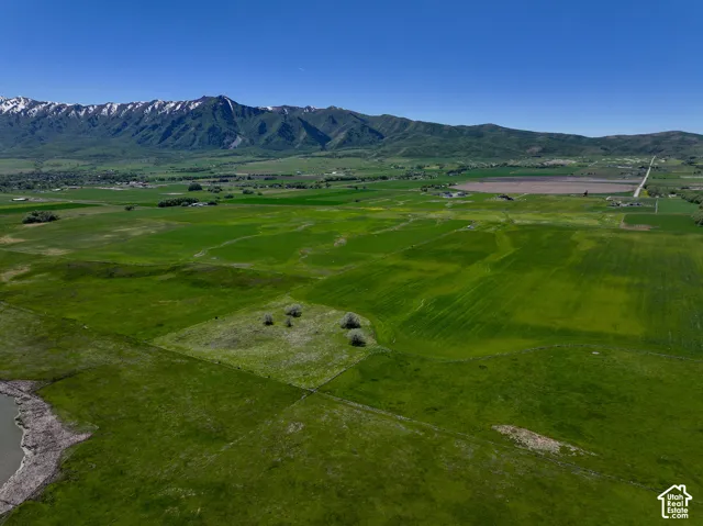 Expansive acreage featuring open green space, mature trees, and a mountain backdrop