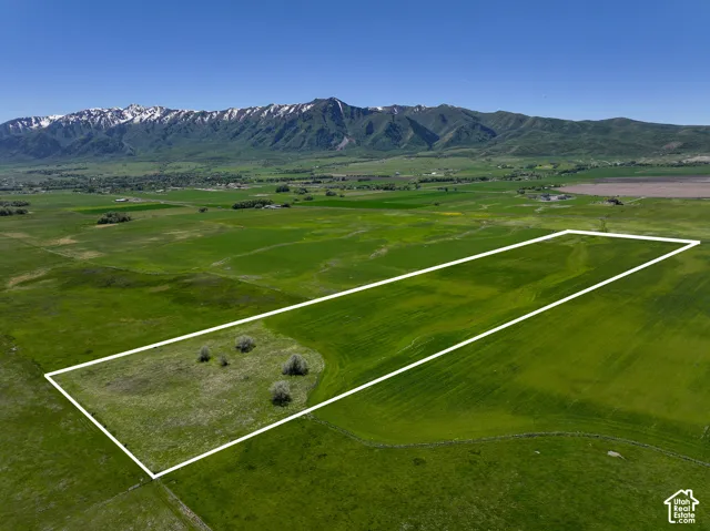Expansive parcel of open land featuring mountain scenery and mature trees