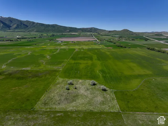 Expansive acreage featuring open green space, mountain topography, and mature trees