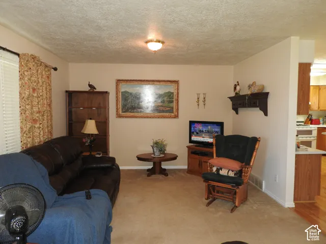 Living space featuring neutral-toned carpeting, a built-in wooden wall shelf, and a ceiling-mounted flush light fixture