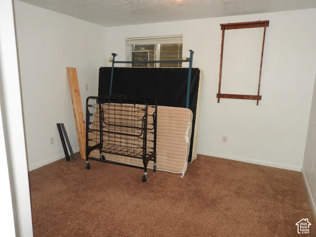 Neutral-toned interior space featuring wall-to-wall carpeting, white walls, a horizontal sliding window, and a wall-mounted wooden rack