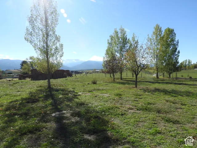 Expansive open lot featuring mature trees, a wire perimeter fence, and mountain scenery
