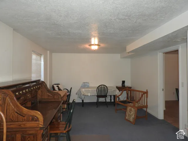 Neutral-toned interior space featuring blue carpeting, a single-window wall, and a centered ceiling-mounted lighting fixture