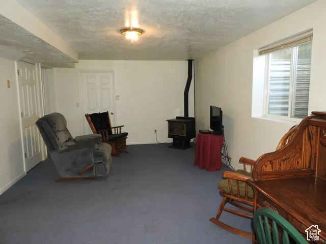 Multi-purpose interior space featuring neutral wall paint, carpeting, a freestanding metal wood-burning stove, and a recessed window with a metal window well