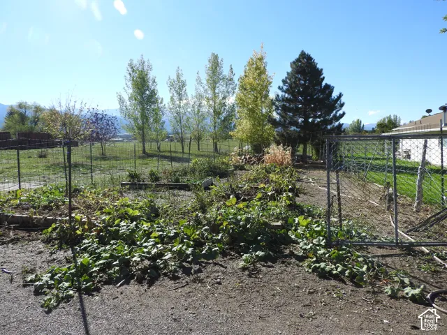 Expansive outdoor area featuring raised planting beds, metal wire fencing, mature deciduous trees, an evergreen conifer, and distant mountain scenery