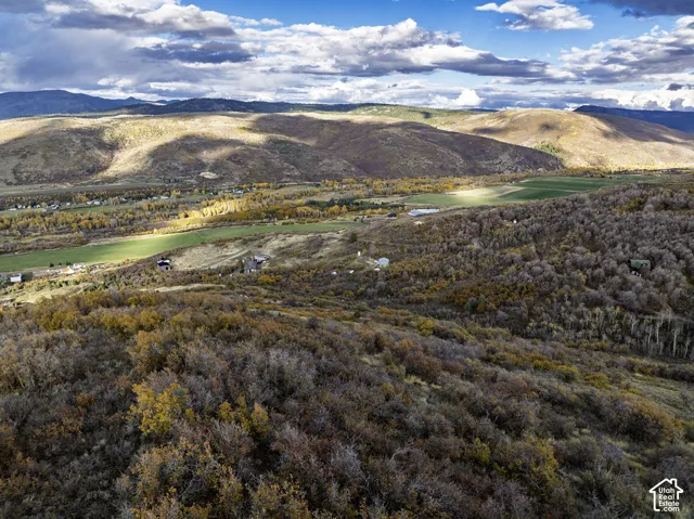 Elevated acreage featuring expansive mountain topography, dense deciduous vegetation, and wide-reaching valley terrain