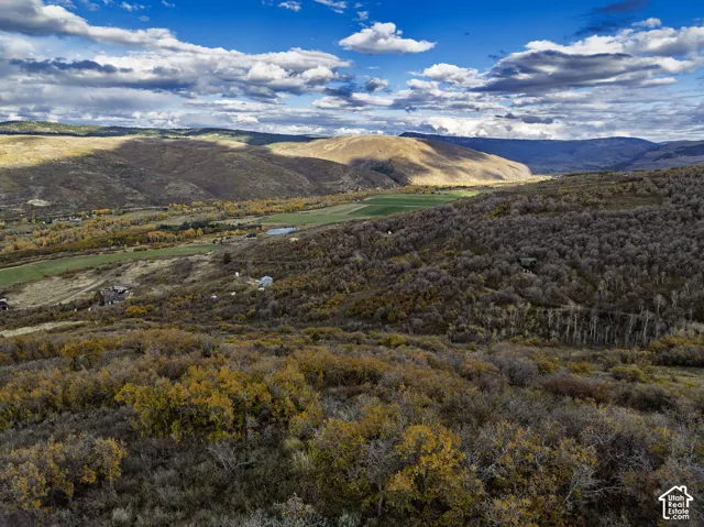 Expansive acreage characterized by rolling hillside terrain, native deciduous trees, shrubbery, and prominent mountain backdrops