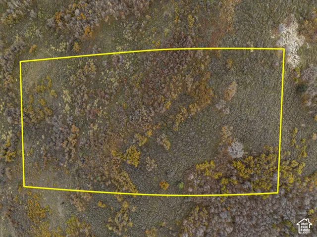 Aerial perspective of expansive acreage featuring mature trees and varied natural vegetation