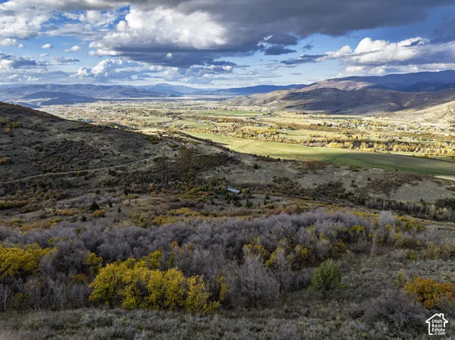 Expansive hillside acreage featuring native scrub oak, mature vegetation, and mountain silhouettes