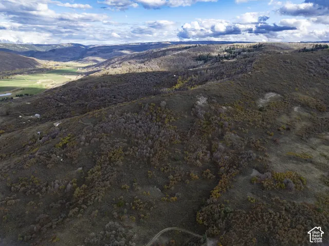 Expansive terrain featuring rolling hills, mature woodland, natural vegetation, and distant mountain topography