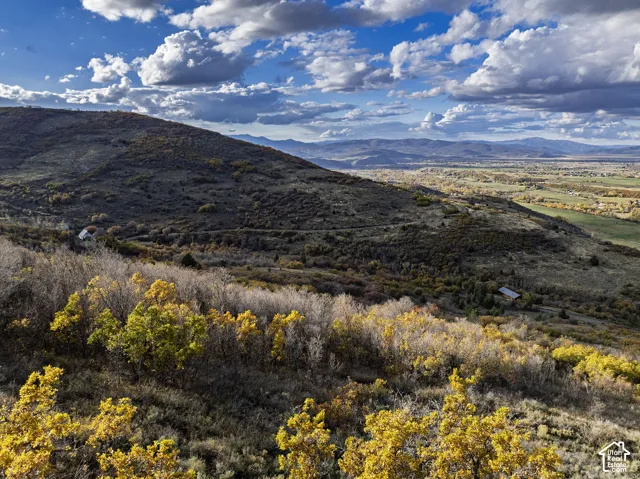 Expansive mountain backdrop featuring rolling hills, valley terrain, and native deciduous trees