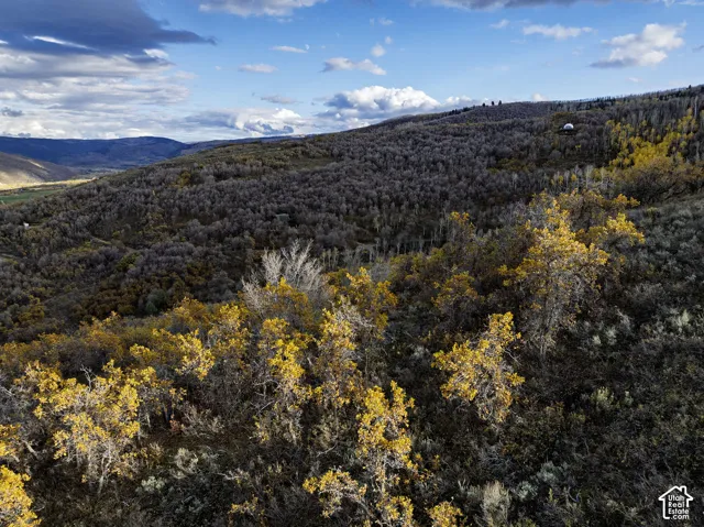 Expansive terrain featuring mature deciduous trees, native shrubs, and mountain topography