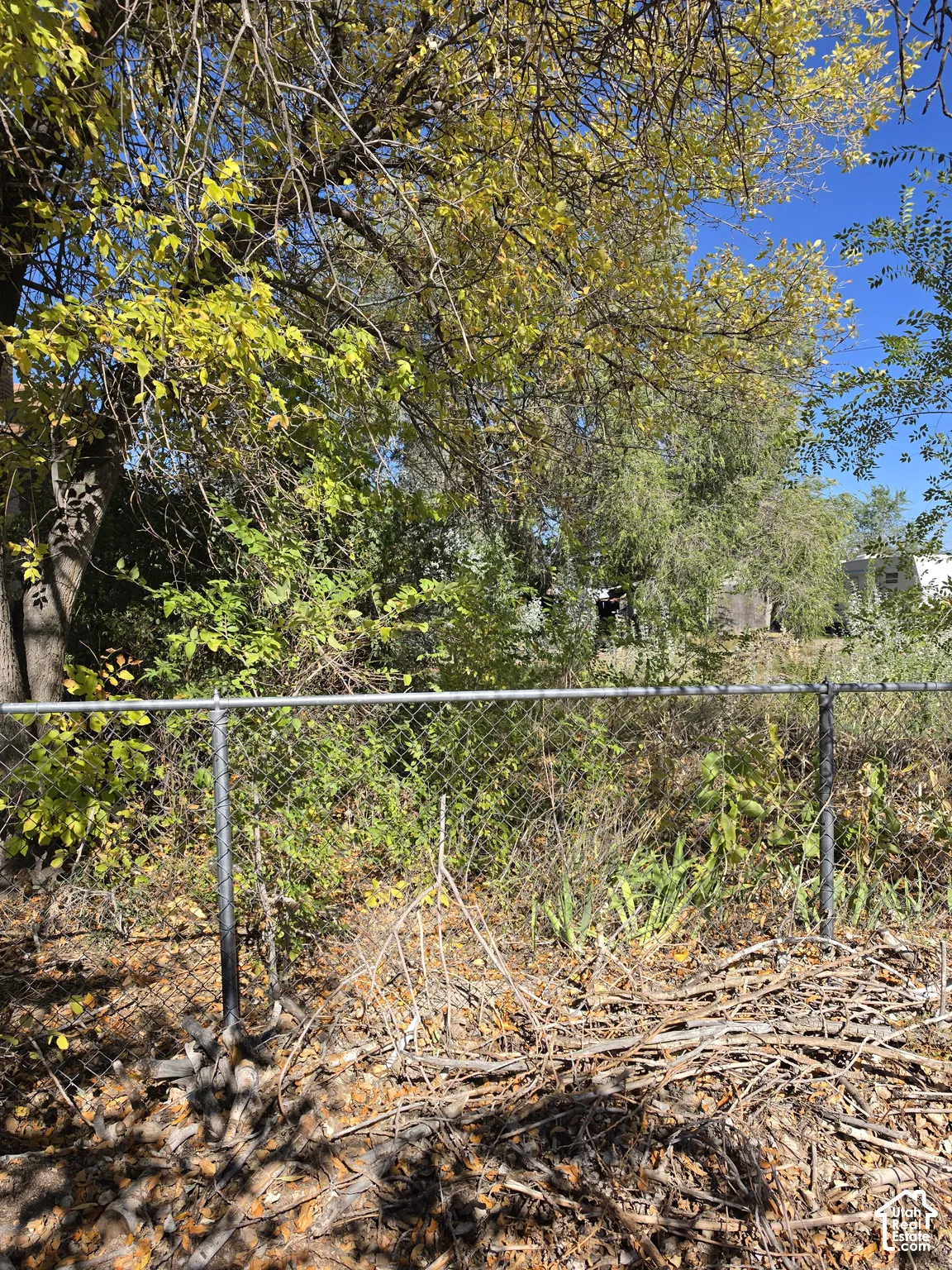 Chain-link fencing surrounding the lot perimeter, mature trees, and native vegetation