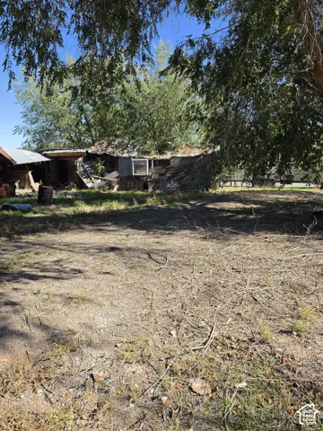 Expansive lot featuring mature trees and existing structural improvements