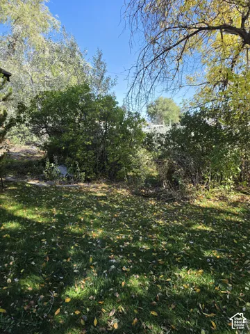 Expansive backyard featuring mature trees, established shrubbery, and natural landscaping