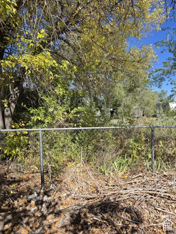 Chain-link fencing surrounding the lot perimeter, mature trees, and native vegetation