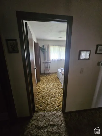 Interior doorway featuring dark-stained wood trim and a solid-core door