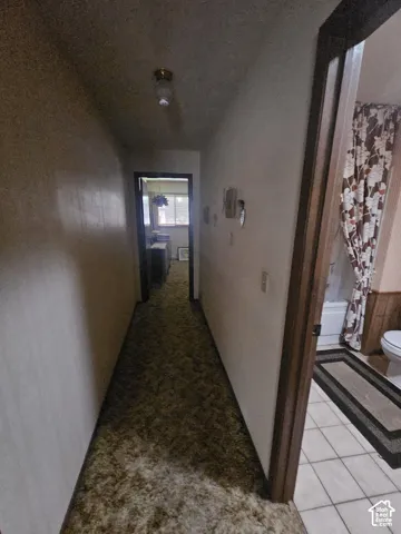 Hallway featuring wall-to-wall carpeting and a flush-mount ceiling light fixture, with tile flooring in the bathroom